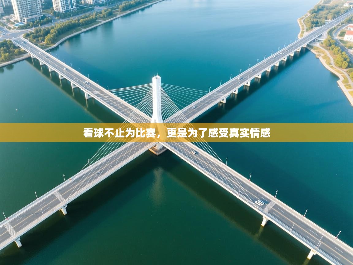 看球不止为比赛，更是为了感受真实情感  第1张
